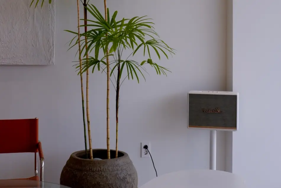 tendencias reformas oficinas